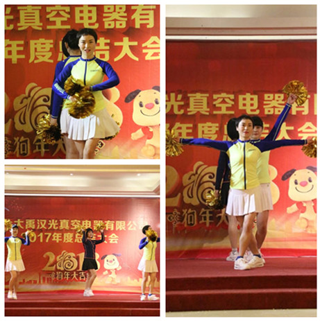 1520390815319866.jpg Hubei Dayu Hanguang Vacuum Electric Co., LTD. 2018 Annual Meeting